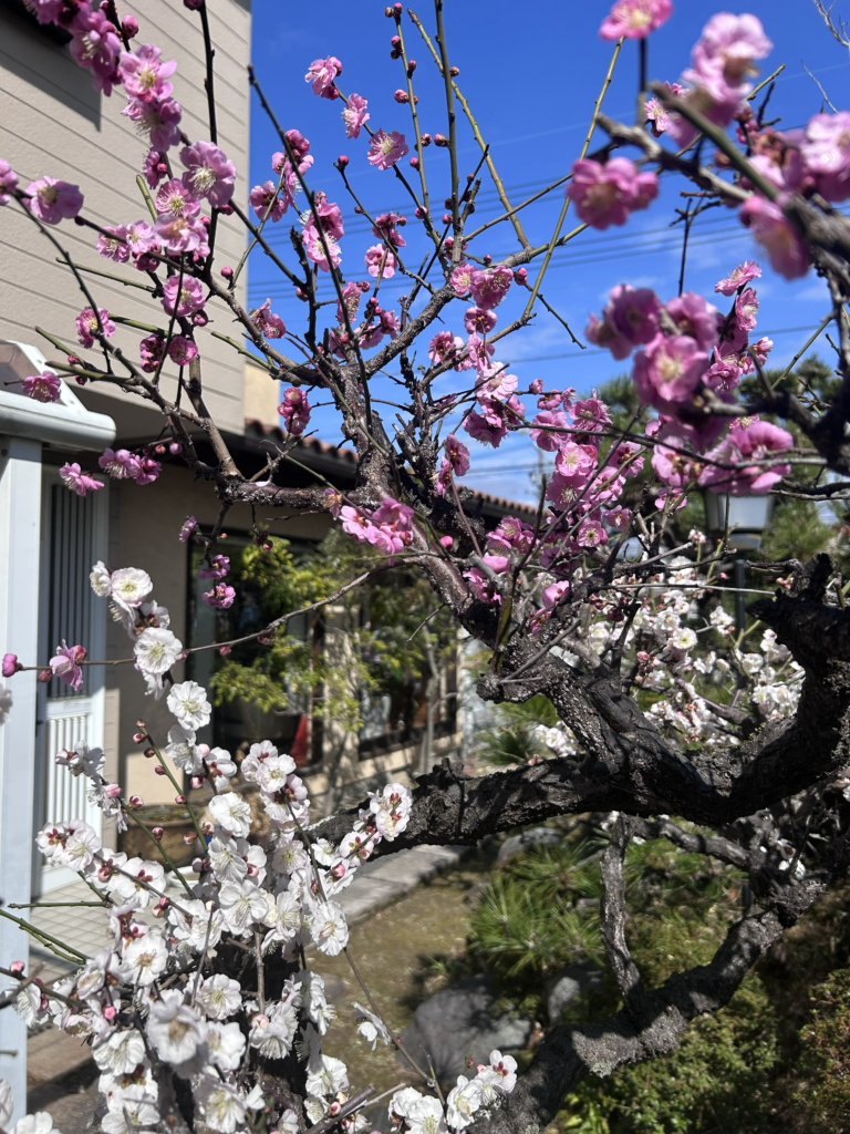 3月は1年で最もお肌がデリケートになる季節です