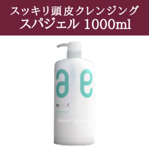 spagel(sale)(23)